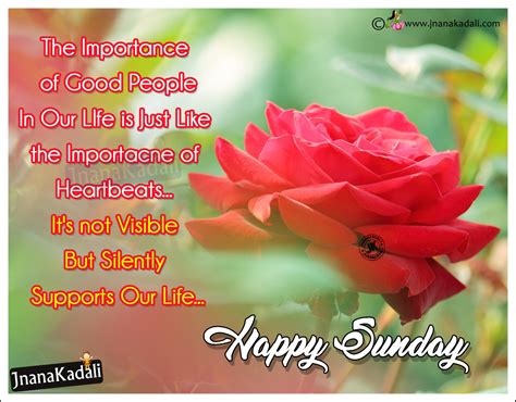 Best Happy Sunday Quotes Best People Quotes In English Jnana Kadali