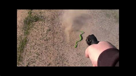 Ruger Lcr 22 Lr Vs Snake Youtube