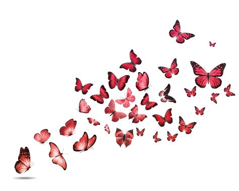 Premium Photo A Flock Of Colorful Flying Butterflies Isolated On A