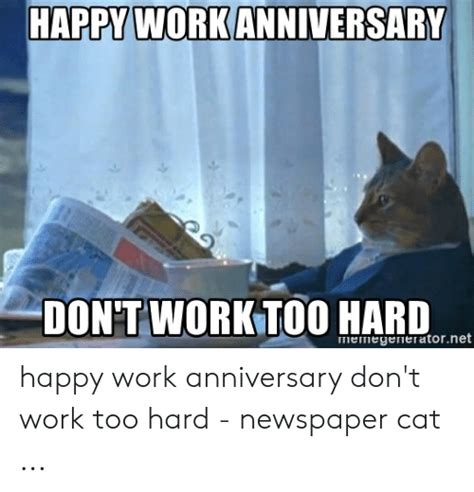 Happy Anniversary Meme Cat