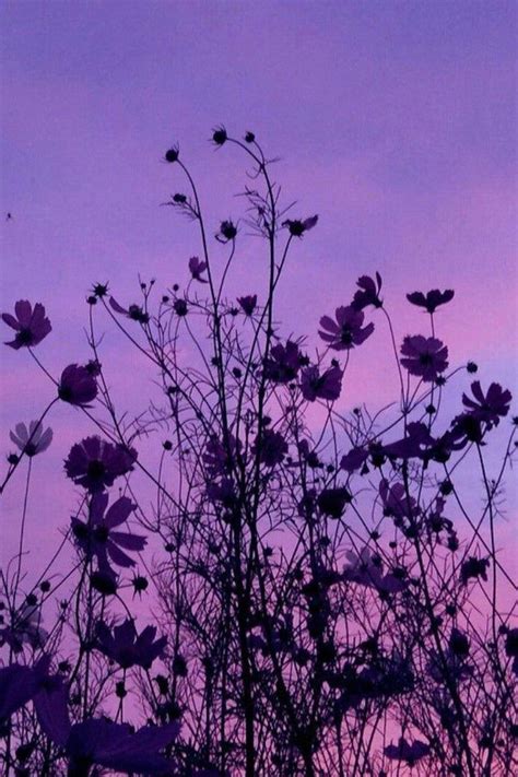 Aesthetic Deep Purple Lavender Violet Aesthetic Photo Wall Etsy In