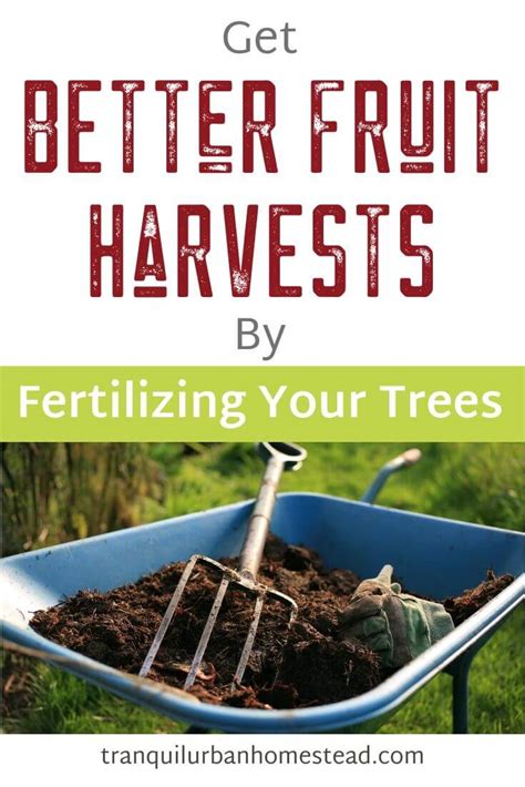 Now for example, if your soil test result recommends a nutrients (npk) ratio of. Fruit Tree Fertilizer: How To Make And Apply Homemade ...