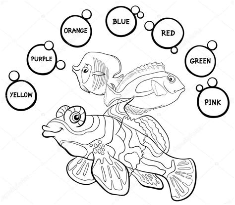 Dibujos: colores primarios para colorear | colores básicos educativos
