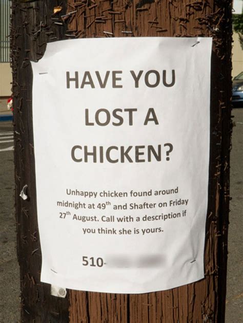 20 missing cat poster memes ranked in order of popularity and relevancy. 43 Absurdly Funny Fliers That People Actually Posted
