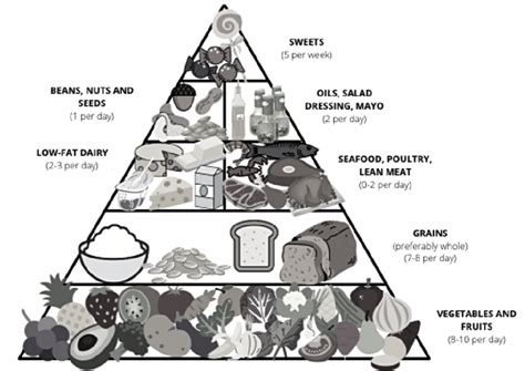A Beginners Guide To The Dash Diet Pyramid Chefs For Seniors