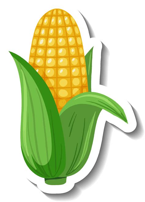 Corn On The Cob Template