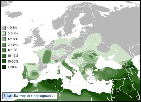 Haplogroups overlap national and ethnic boundaries, and most ethnic groups have several different haplogroups in their populations. Y haplogroup J1 | Genetic Genealogy Ireland, 2013 | Dna ...
