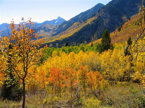10 Places to See the Best Fall Scenery in the U.S. - trekbible