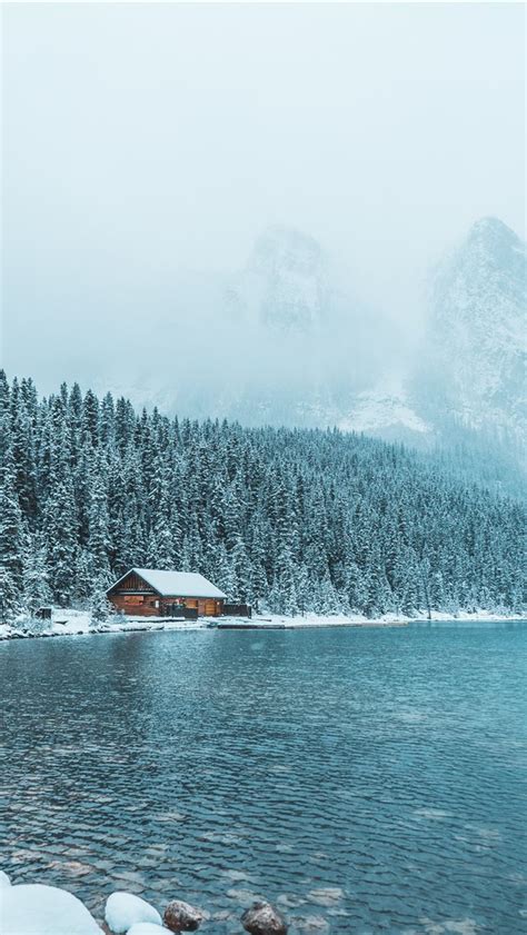 Brown Wooden House Between Trees And Body Of Water Iphone Wallpapers