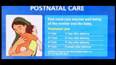The Importance Of Postnatal Care Lanza Del Destino