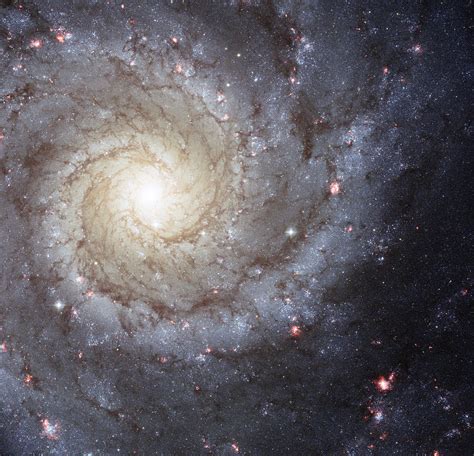 James Webb Capture La Galaxie Spirale M74 Vertigineuse
