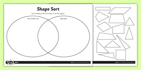 2d Shapes Sort Differentiated Activity Teacher Made