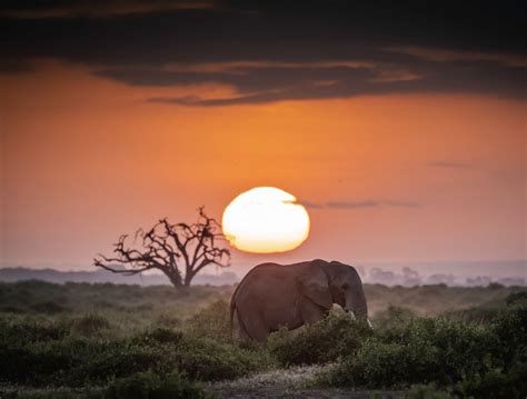 10 Travel Photographers Share What Is Africa