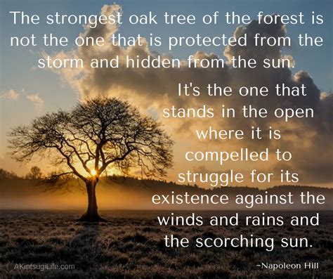 The Strongest Oak Tree Wise Words Quotes Wisdom Quotes Sayings True