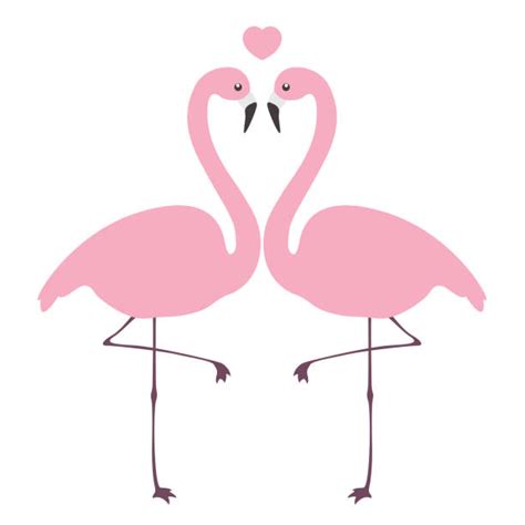 Flamingo Heart Illustrations Royalty Free Vector Graphics