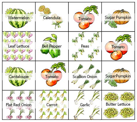 Today, in this square foot gardening planting guide we are going to teach you the basics of how to start your own square foot garden! CSdesigner: Planter 1 planted