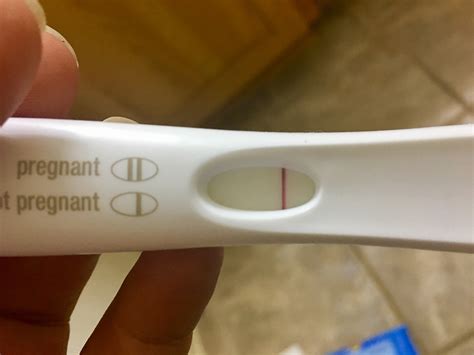 Can Progesterone Cause False Negative Pregnancy Test Pregnancywalls
