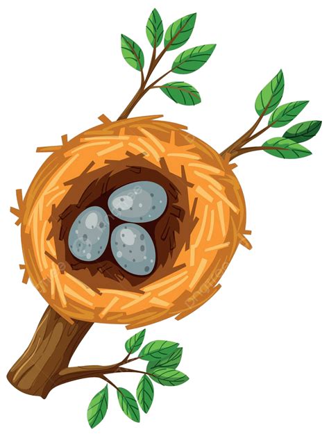 Three Eggs In The Bird Nest Art Image Object Vector Art Image Object