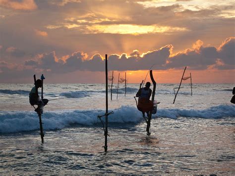 Sri Lanka Fishing Holidays Fishing In Sri Lanka Deep Sea Fishing