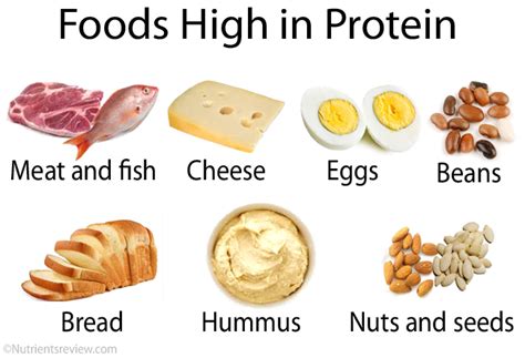 The Good Protein Chart For Healthy Lifestyle You Must Know