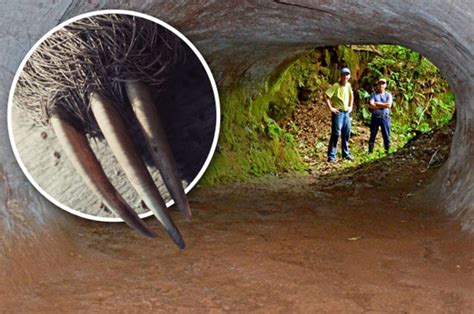 Science news 2017: Brazil monster tunnels dug by ancient ground sloth