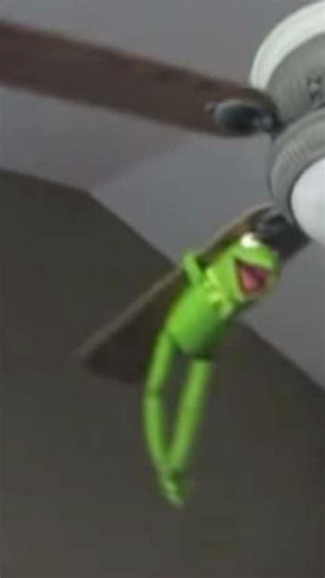 Kermit The Frog Reaction Pics Memes Artofit