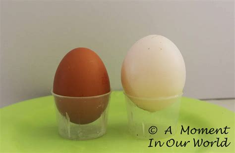 Naked Egg Science Experiment Simple Living Creative Learning