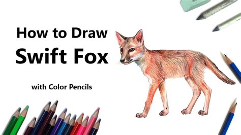 Swift Fox Color Pencils Youtube Youtube
