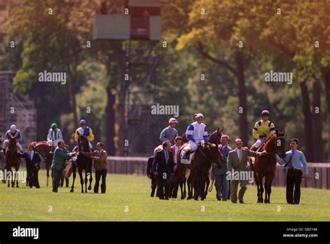 Parade At Chantilly For The French Derby Hi Res Stock Photography And