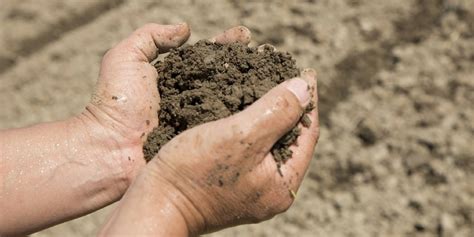 Soil Testing Practices Used By Successful Growers Decisive Farming
