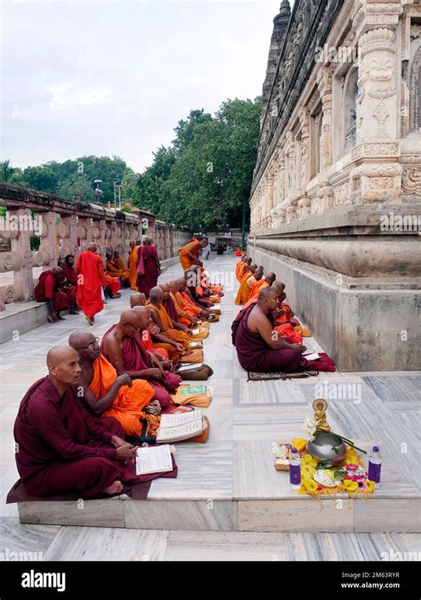Monks Meditating Bodhgaya Mahabodhi Temple Complex India Stock Video