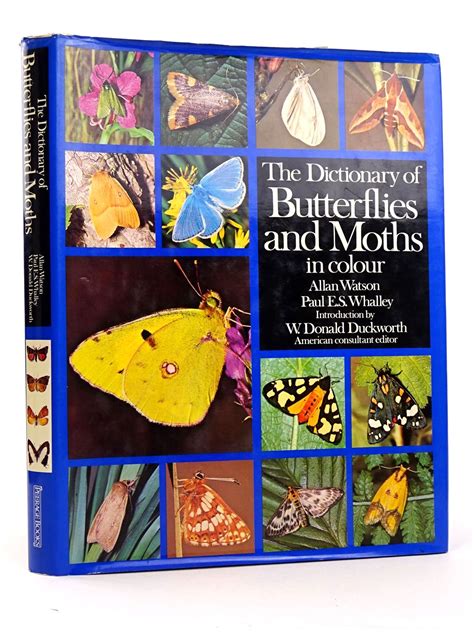 Stella And Roses Books The Dictionary Of Butterflies And Moths In