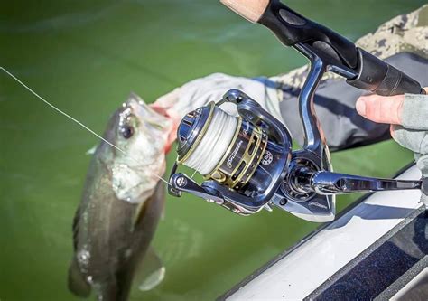 Top 10 Best Spinning Reels In 2024 Reviews Buying Guide