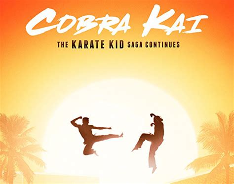 Cobra Kai A Sorpresa Il Seguito Di Karate Kid è Una Gran Bella Serie Tv