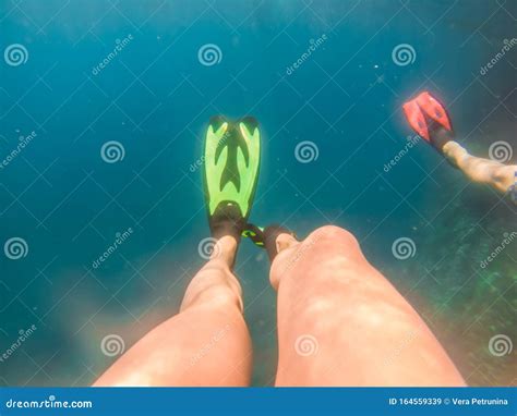 Couple Swimming Underwater In Flippers Stock Image Image Of Active Tropical 164559339