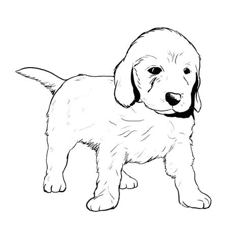 30 Best Ideas For Coloring Labrador Retriever Coloring Page