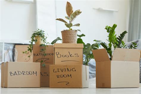 Sustainable Moving Eco Friendly Practices For An Environmentally