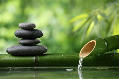 1001 Conseils Pratiques Pour Une Déco De Jardin Zen Bamboo Fountain