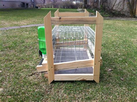 Chicken Coop Build Button Quail Cages For Sale