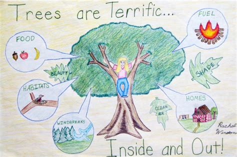 Arbor Day Poster Contest Delaware Trees