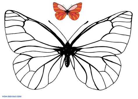 Dibujos De Mariposas Para Colorear 100 Dibujos Para Colorear