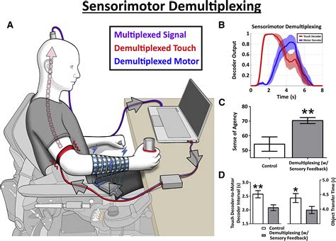 Restoring The Sense Of Touch Using A Sensorimotor Demultiplexing Neural
