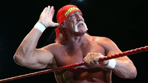Hulk Hogan Challenged To Million Match By Scott Steiner Sports