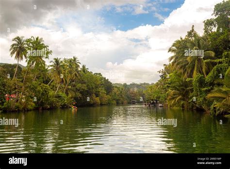 Tropical River With Palm Trees On Both Shores Loboc River Bohol