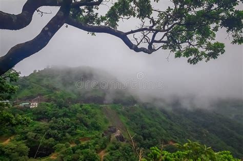 A View Point In Vagamon Hills Stationa View Point In Vagamon Hills