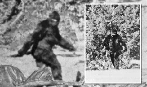 Bigfoot Mystery Deepens As Famous 1967 Video Of Sasquatch Scanned With