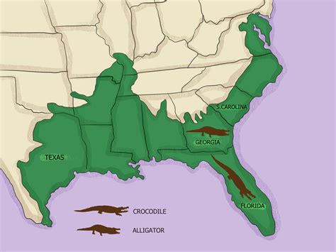 Alligators In Georgia Map