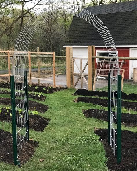 Diy Cattle Panel Garden Arbor — Seed To Fork Blog By Meg Cowden