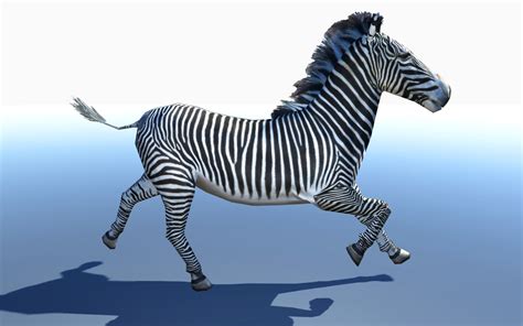 Zebra 3d Model Animated Low Poly Cgtrader