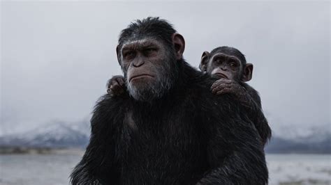Caesar And Cornelius Planet Of The Apes Apes Dawn Of The Planet